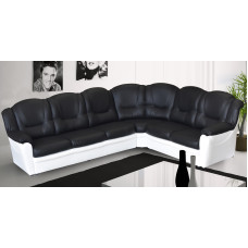 Arizona 2CR3 Right Corner Black and White PU