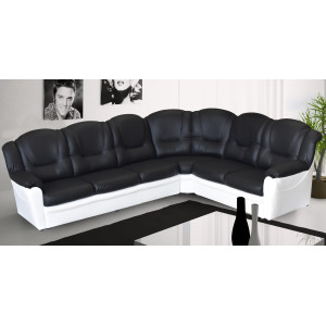 Arizona 2CR3 Right Corner Black and White PU